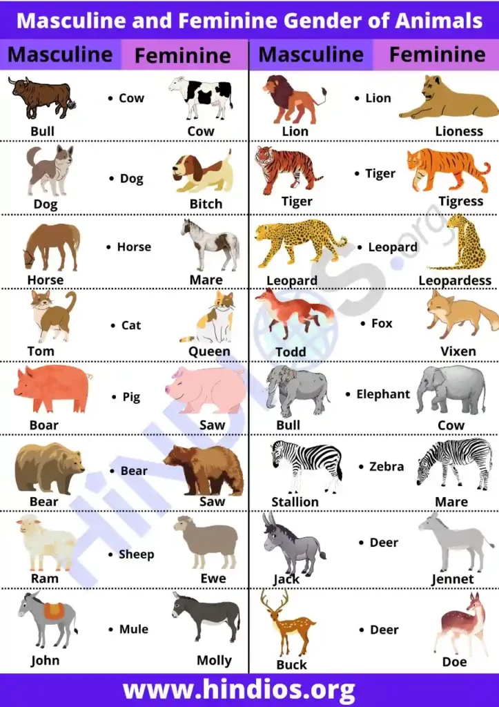 masculine and feminine gender list of animals