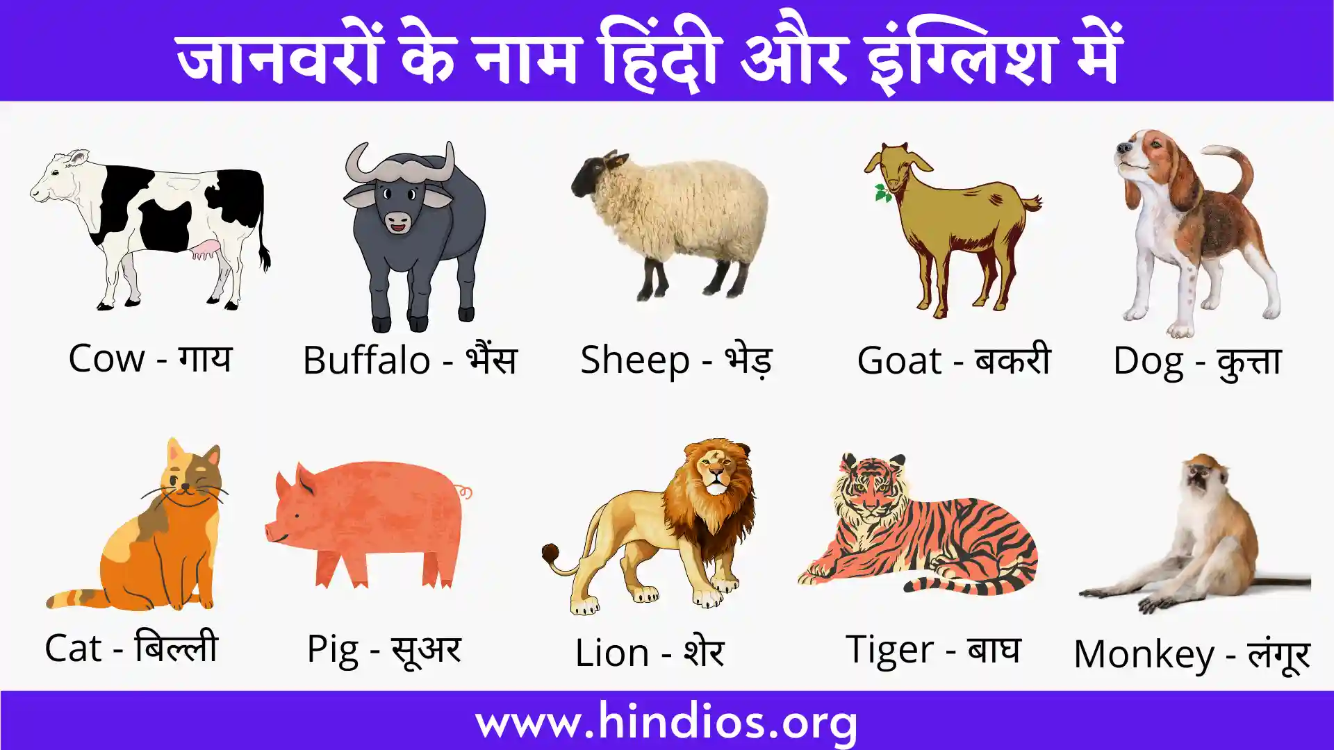 90+ Animals Name in Hindi and English| जानवरों के नाम हिंदी और इंग्लिश में »