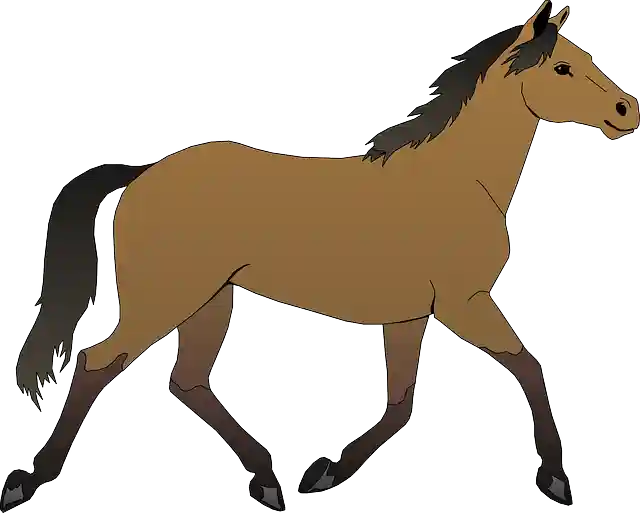 Horse 