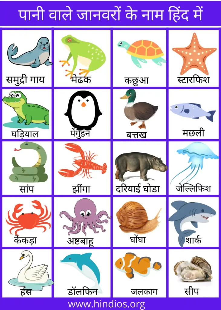  water animals name with pictures