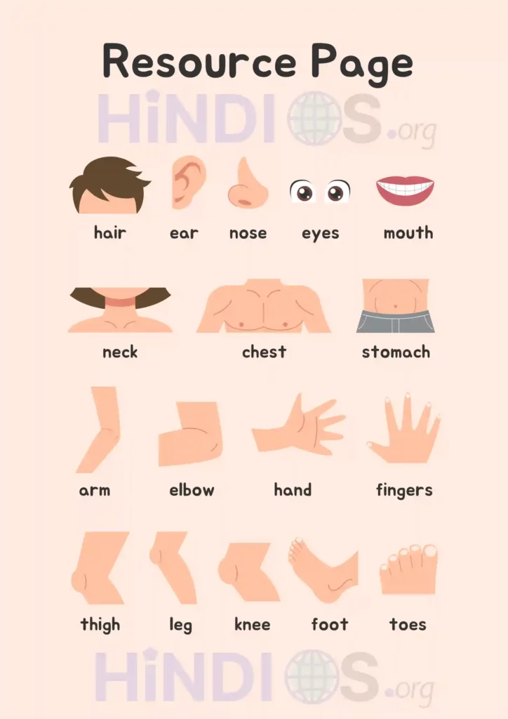 Human Body Parts Name with Picture