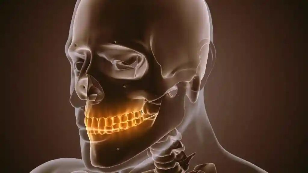 Molar Teeth