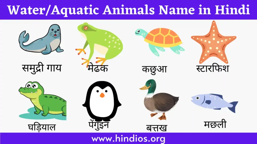 Water/aquatic Animals Name in Hindi 