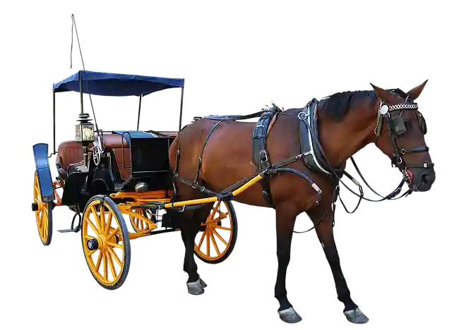 Horse carriage